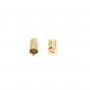 Embout plaqué "flash" or pour fil de 2.0mm x 10pcs