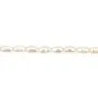 Perle de culture d'eau douce, blanche, olive, 4-4.5mm x 36cm