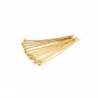 Clou tête boule ronde plaquée par "flash" or sur laiton 25mm x 10pcs