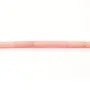 Bambou mer teinté orange Tube 3x10mm x 40cm 
