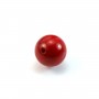 Bambou de mer rouge, semi-percé d'un côté, ronde 8mm x 1pc