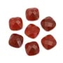 Cabochon cornaline  carre facette  14mm x 1pc