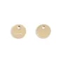 Tag en gold-filled,  x 2pcs