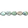 Nacre abalone goutte plate 12x16mm x 4 pcs