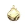 Breloque coquillage 11x11mm gold filled 14 carat x 2pcs