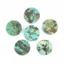 Afrikanischer Türkis Cabochon rund flach 10mm x 1pc