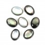 Madreperla ovale grigia cabochon 6x8 mm x 1 pz