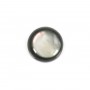 Cabochon Nacre gris rond 4mm x 2pcs