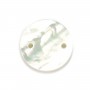 Nacre blanche ronde plate 10mm x 4pcs