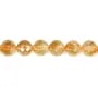 Citrine Ronde Facette 8mm x 40cm
