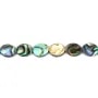 Nacre Abalone ovale 8x10mm x 40cm