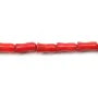 Red colored tulips sea bamboo 4x8mm 