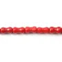 Bamboo mer teinte rouge Bobine