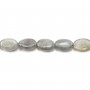 Labradorite Ovale 15x20mm x 40cm