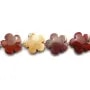 Egg Topaz en fleur 20mm x 2 st