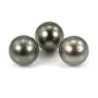 Tahiti-Zuchtperle, rund, 12.5-13mm, A-Qualität x 1pc