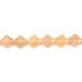 Aventurine Orange Trèfle 13mm x 39cm
