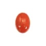 Cabochão de Coral Vermelho Natural Oval 4x6mm x 1pc