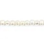 Perle de culture d'eau douce blanche, de forme ovale 3.5 * 5mm x 39cm