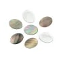 Cabochão de madrepérola oval plano 10x14mm x 1 unidade