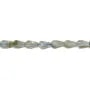 Goccia sfaccettata di labradorite 4x6 mm x 39 cm
