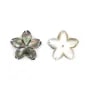 Gray mother-of-pearl 5 petal flower 15mm x 1pc