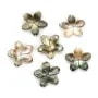 Nacre grise en fleur à 5 pétales 15mm x 1pc