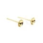 Clou d'oreille pour semi percée coupelle 5mm - Acier Inox 304 doré x 4pcs