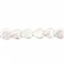 Perle de culture d'eau douce, blanche, coeur, 11-12mm x 40cm