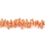 Rote Koralle Natur Barock Tube x 50cm