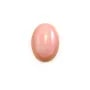 Lambi oval cabochão 8x10mm x 1pc