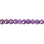 Phosphosidérite rondelle facetté 3x4mm x 40cm