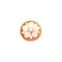 Cabochon Camée Conque cornaline rond fleur 12mm x 1pc