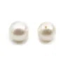 Pearl freshwater demi tron 7mm blanc x 10 pcs