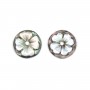 Cabujón redondo de nácar gris Cameo 14mm x 1ud