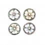 Cabujón redondo de nácar gris Cameo 14mm x 1ud