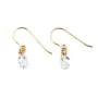 Pendiente redondo de óxido de circonio 5mm - Gold Filled x 2pcs