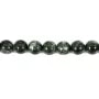 Séraphinite rond 6.5mm x 39cm