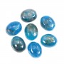 Apatite ovale cabochon 8x10mm x 1pc