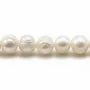 White oval freshwater pearls on thread 7-8mm x 40cm