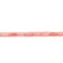 Bambou mer teinté rose pâle  Tube 2x4mm x 40cm 