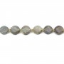 Labradorite rotonda piatta sfaccettata 8mm x 38cm (41 pezzi)