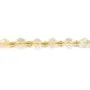 Citrine olive facetté 5x6mm x 38cm (48pcs)