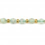Prehnita verde facetada 5x6mm x 39cm (51 piezas)