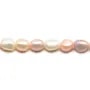 Perles d'eau douce multicolore 8-9mm  x35cm