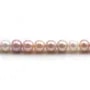 Perlas de agua dulce de colores variados 8-8.5mm x 40cm
