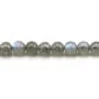 Labradorit Rund 6mm x 10 Stk.