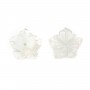 Madreperla bianca 15mm a forma di fiore con 5 foglie x 1 pezzo