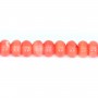 Bambou mer teinté orange Rondelle 4x6mm x  40cm