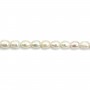 Freshwater cultured pearls, white, olive, 6-7mm x 5pcs
